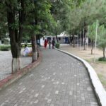 Path Ways (2)